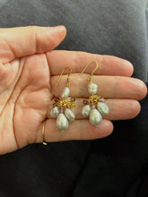 Load image into Gallery viewer, Freshwater pearls and Swarovski crystals Niva gold earrings
